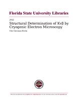 Structural Determination of Kvβ by Cryogenic Electron Microscopy