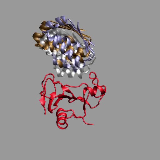 Theoretical Studies of Protein-Protein and Protein-DNA Binding Rates - Video